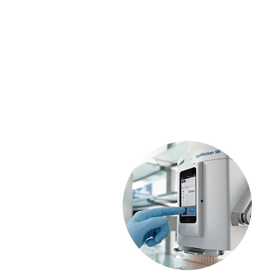 CTA 6